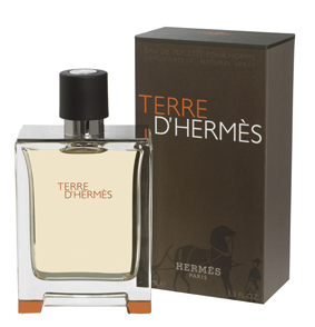 Terre D'Hermes "Hermes" 100ml MEN - Парфюмерия и Косметика по Доступным Ценам на DuhiElit.ru